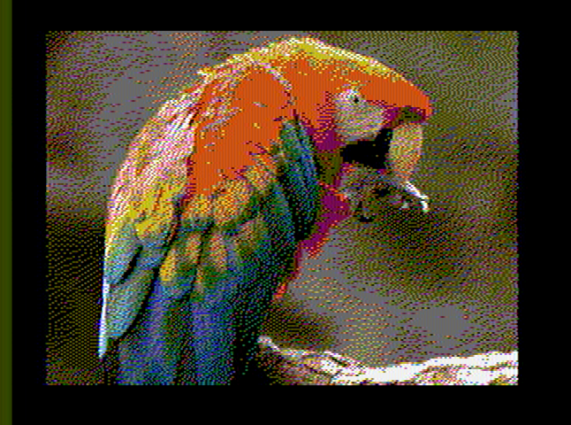 scarlet_macaw_640x200_out.png