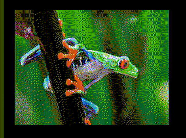 treefrog_cropped_out.png